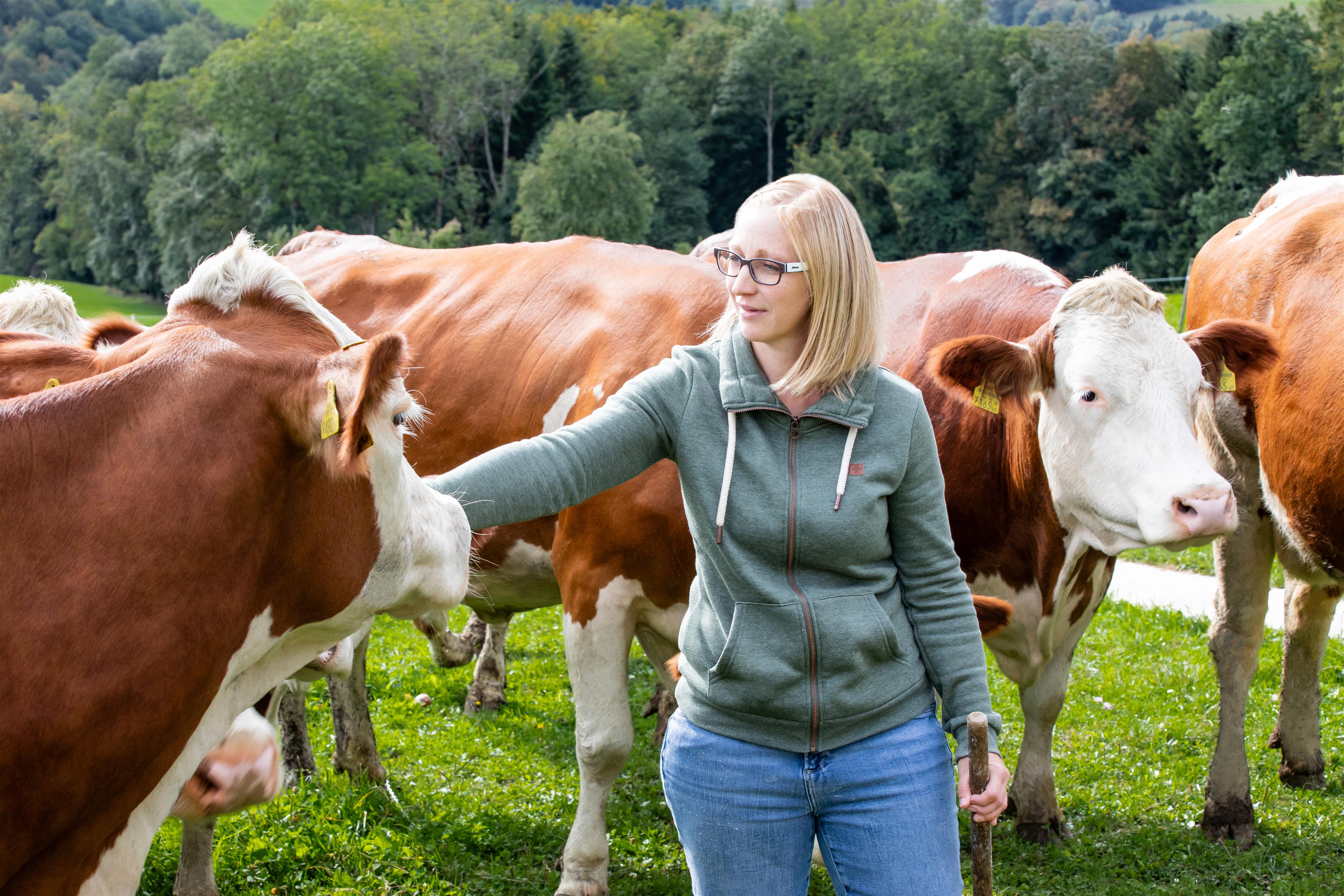 Von der Weide bis aufs Teller
